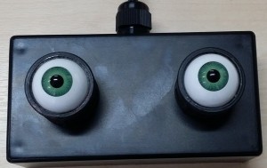 spooky_eyes_box3